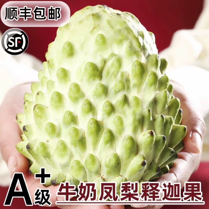 【顺丰包邮】凤梨牛奶花皮释迦果云南番荔枝新鲜应季水果大目释迦