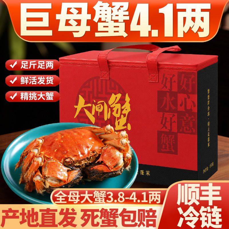 【活蟹】今旺鲜活大闸蟹3.8-4.1两螃蟹礼盒全母顺丰包邮足斤足两