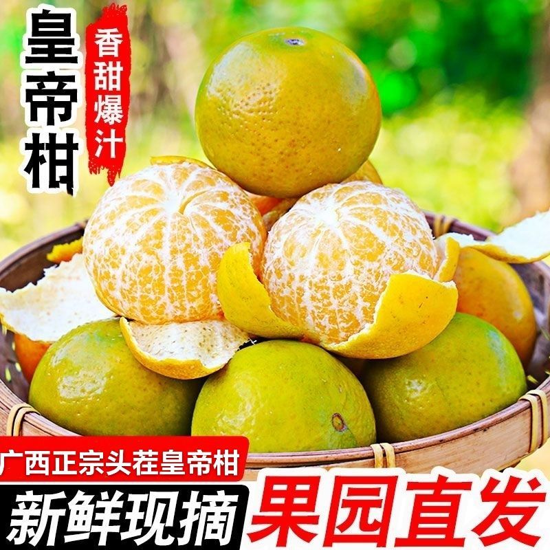 薄皮皇帝柑新鲜采摘贡柑秋天柑橘子国庆节送礼水果零食彩色纸箱发