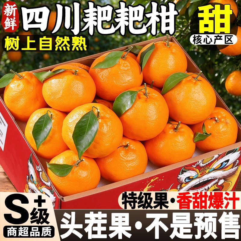 现货【耙耙柑】四川春见耙耙柑应季新鲜孕妇水果丑八怪橘子不知火