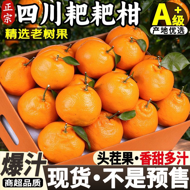 现货【耙耙柑】四川春见耙耙柑应季新鲜孕妇水果丑八怪橘子不知火