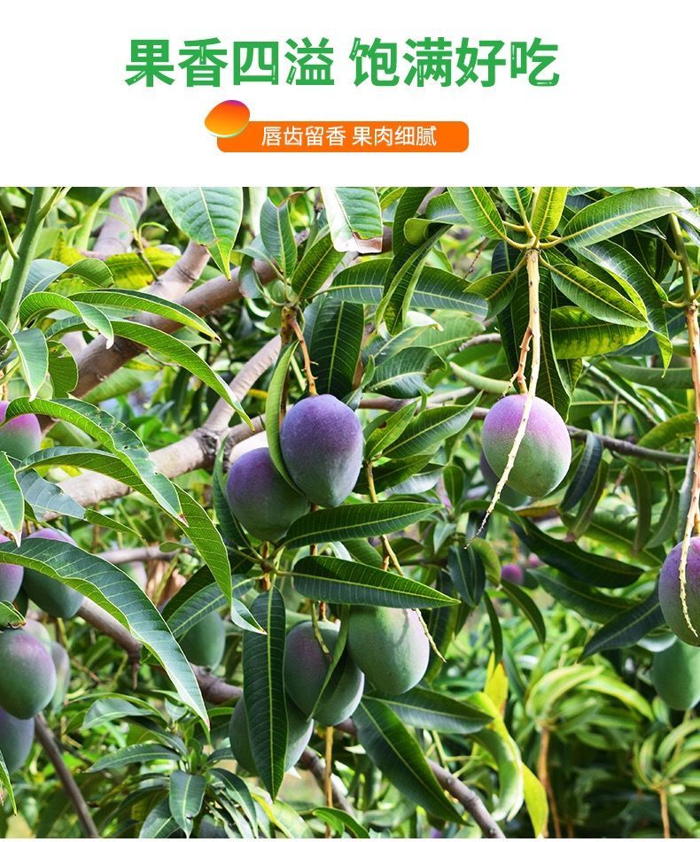 6b67f748-e696-4ca6-904d-f2ae0b492f7a.jpeg