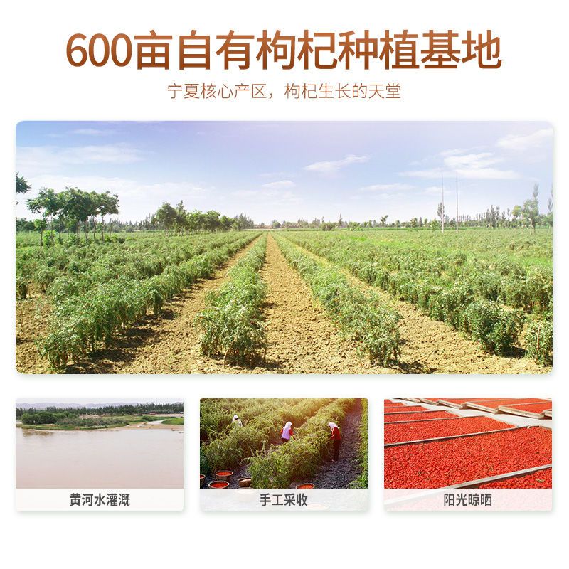 125884-杞里香 枸杞原浆新鲜枸杞汁原汁液小袋装30ml*50袋鲜榨原浆-详情图