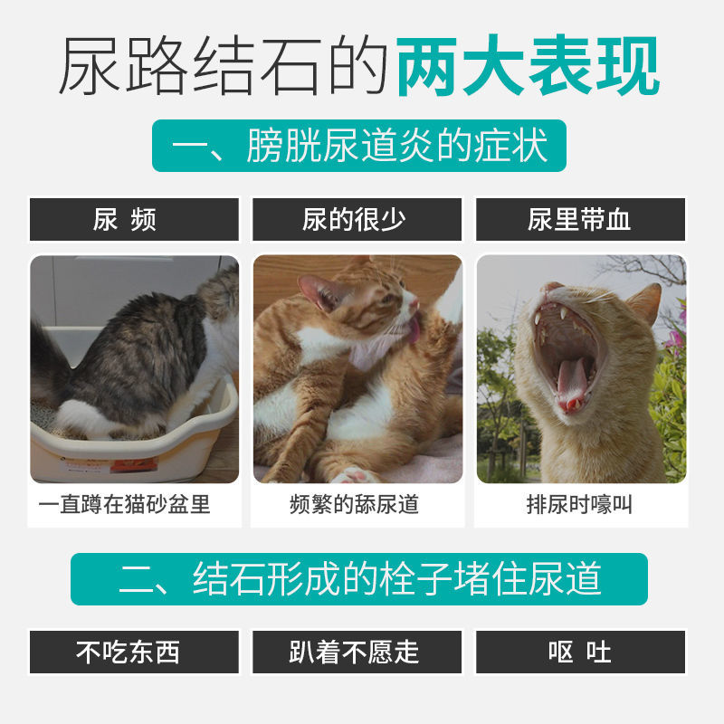 猫咪利尿通尿频尿血尿不出尿路感染尿道炎尿结石尿石消猫咪泌尿品 虎窝拼