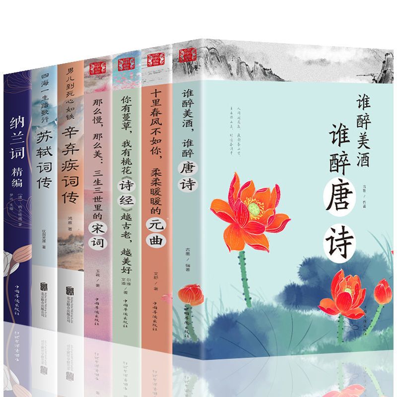 苏轼诗词大全图书 b56110fd-06fd-4bf8-bdd2-fe3ad4d9eb31.jpeg