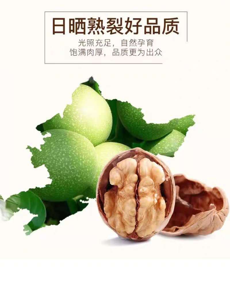 【新疆薄皮核桃】坚果新疆特产原味养生零食休闲食品