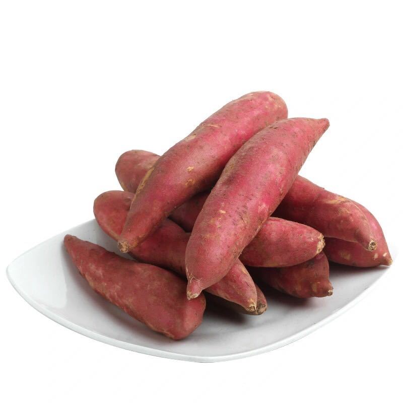 福建六鳌沙地红蜜薯5斤大中小地瓜番薯新鲜农家山芋10香蕃薯包邮
