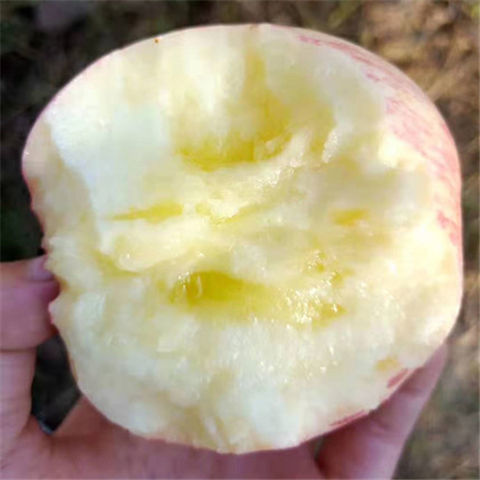 75867-陕西洛川红富士苹果水果新鲜5/10斤脆甜多汁不打蜡带皮吃整箱批发-详情图