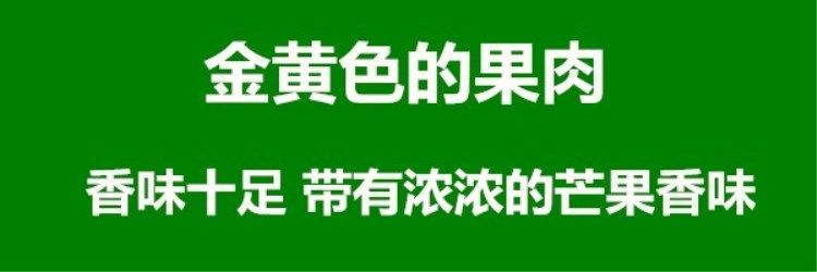 【中秋送礼精品礼盒9-10斤】四川攀枝花凯特芒果新鲜彩芒当季芒果批发水果新鲜芒果凯特芒包邮