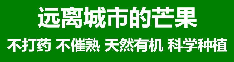 【中秋送礼精品礼盒9-10斤】四川攀枝花凯特芒果新鲜彩芒当季芒果批发水果新鲜芒果凯特芒包邮