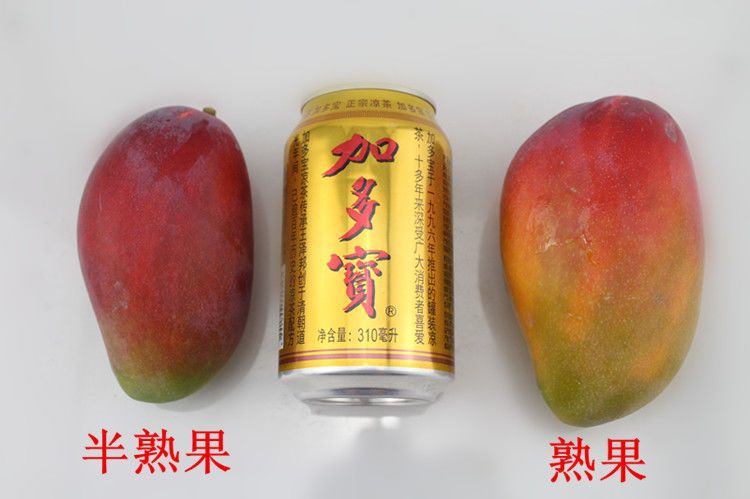 【中秋送礼精品礼盒9-10斤】四川攀枝花凯特芒果新鲜彩芒当季芒果批发水果新鲜芒果凯特芒包邮