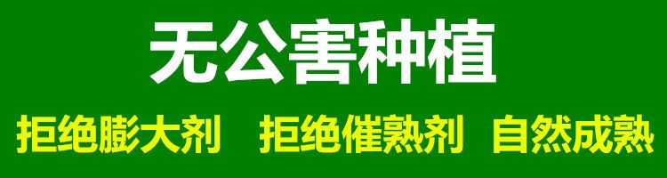 【中秋送礼精品礼盒9-10斤】四川攀枝花凯特芒果新鲜彩芒当季芒果批发水果新鲜芒果凯特芒包邮