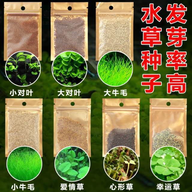 Fish tank aquarium bottom water grass seed package Mini Leaf foreground grass real turf Lawn Landscaping Decoration