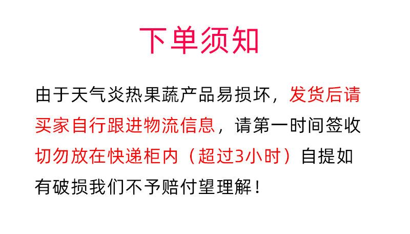 东北香瓜现摘现发新鲜脆甜多汁应季水果京蜜白糖罐