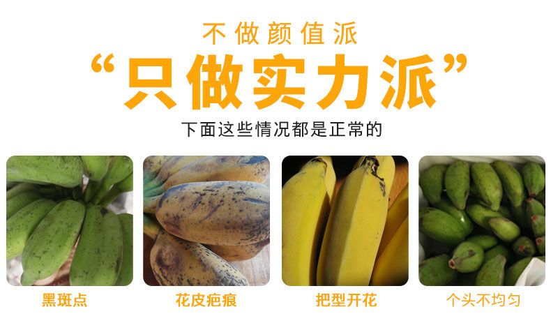 【现摘泡沫箱】广西小米蕉应季新鲜水果9/3/5斤小香蕉芭蕉皇帝蕉