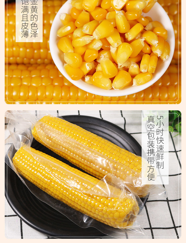 东北黄糯新鲜黄糯玉米黄玉米黏玉米真空包装玉米棒早餐