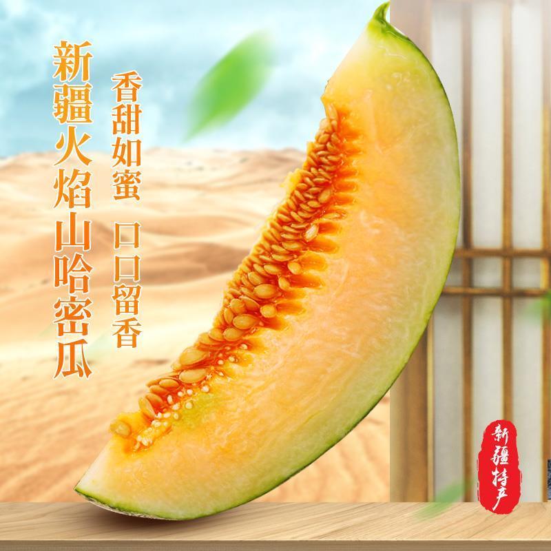哈密瓜怎么挑选正宗 4b5e42db-b017-4d39-9745-b29a2ba5128c.jpeg