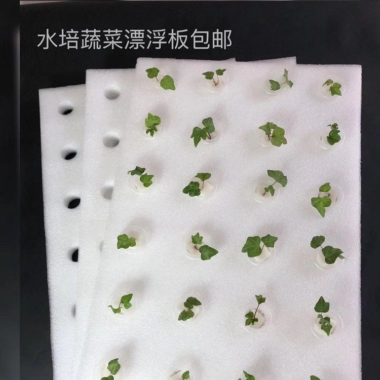 水上种植蔬菜漂浮板