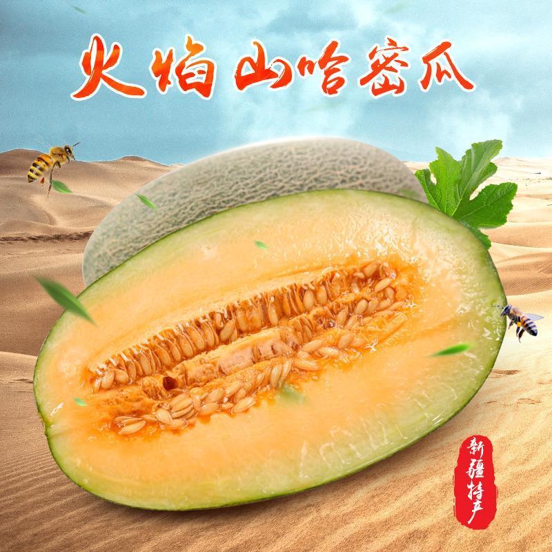 哈密瓜怎么选才是正宗的 e7a2a27c-635a-428b-ace2-76a0b2f794d0.jpeg