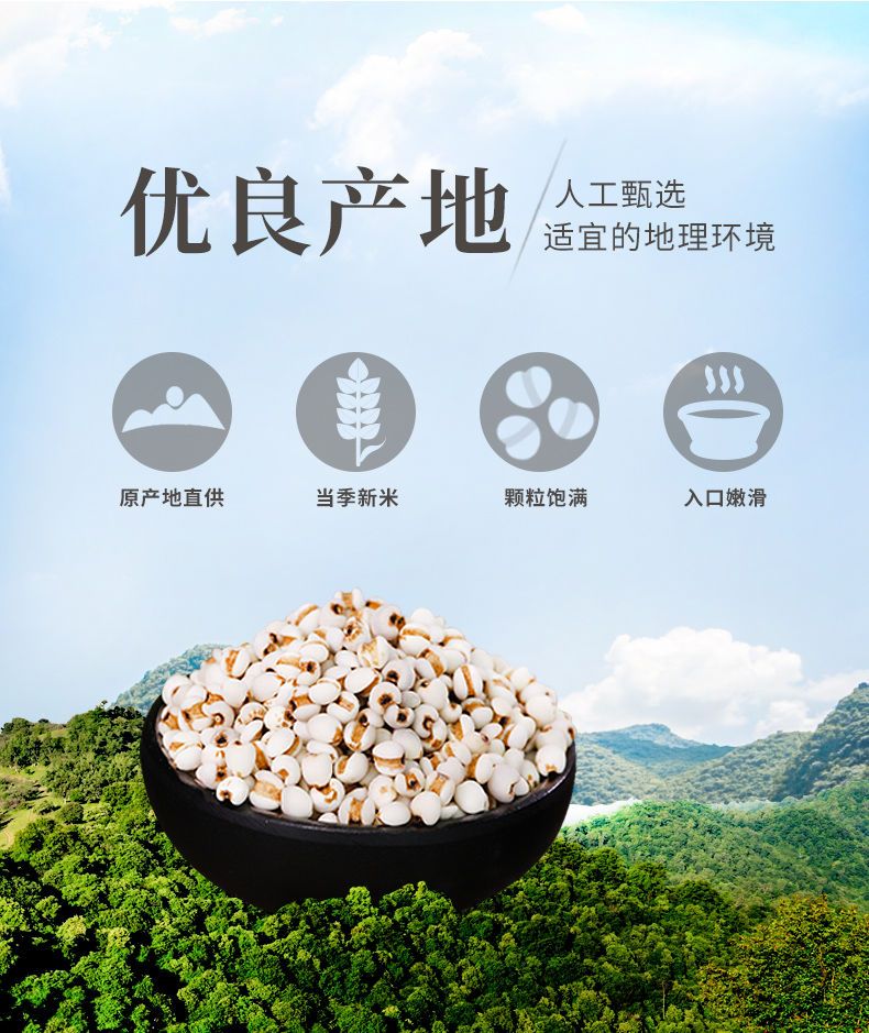 新鲜贵州小薏米薏米仁薏仁米苡仁五谷杂粮粗粮油500g