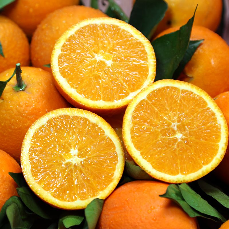 【现摘现发】湖北秭归夏橙橙子新鲜水果薄皮3斤/5斤非高山脐橙