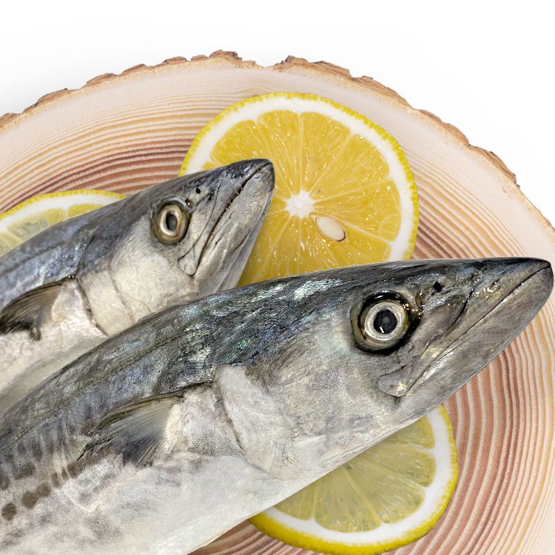 【燕尾】生鲅鱼尾新鲜鲅鱼尾大号速冻1斤6-12个实惠海产品海鱼