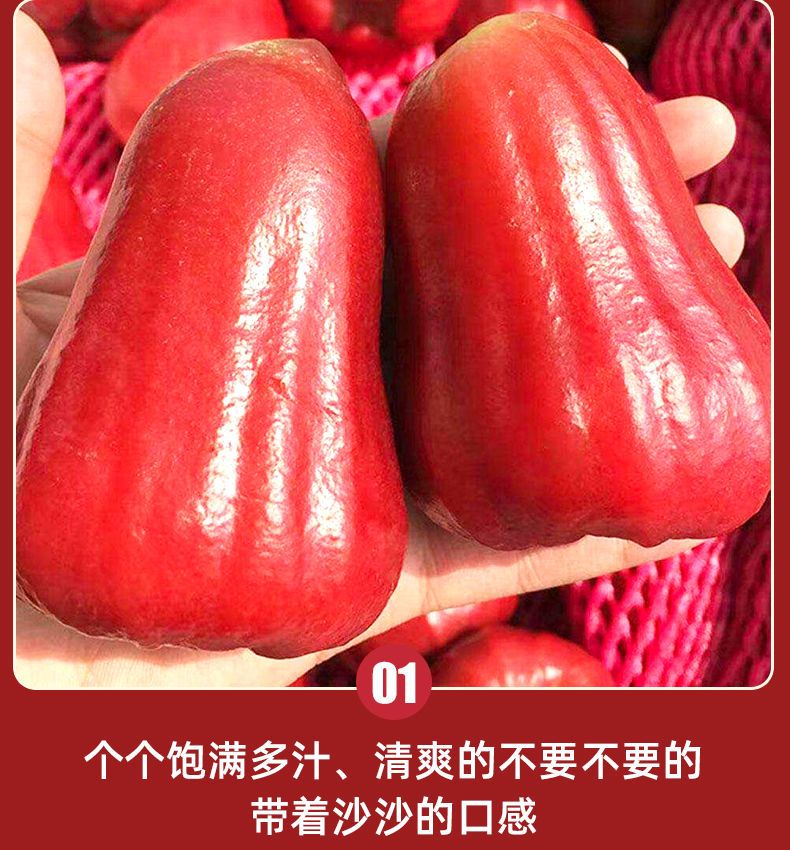 泰国黑金刚莲雾5斤当季孕妇新鲜热带水果雾莲果1-3斤海南特产批发