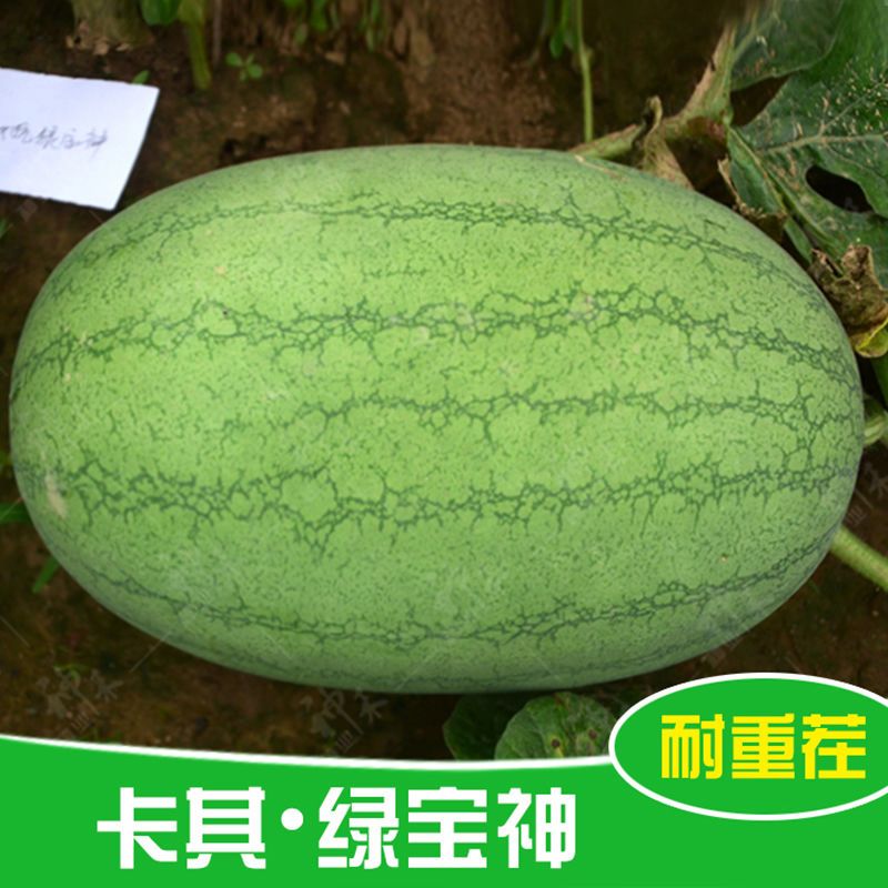 b6703e99-8cf7-4138-83b0-5b0e3c4844ca.jpeg