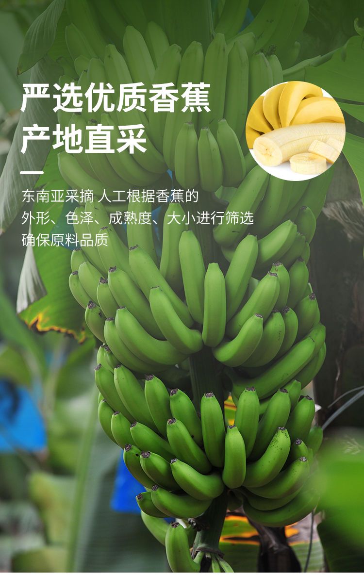 【时间客-碳烤香蕉卷250g】香蕉干脆片芭蕉片休闲零食水果干80g