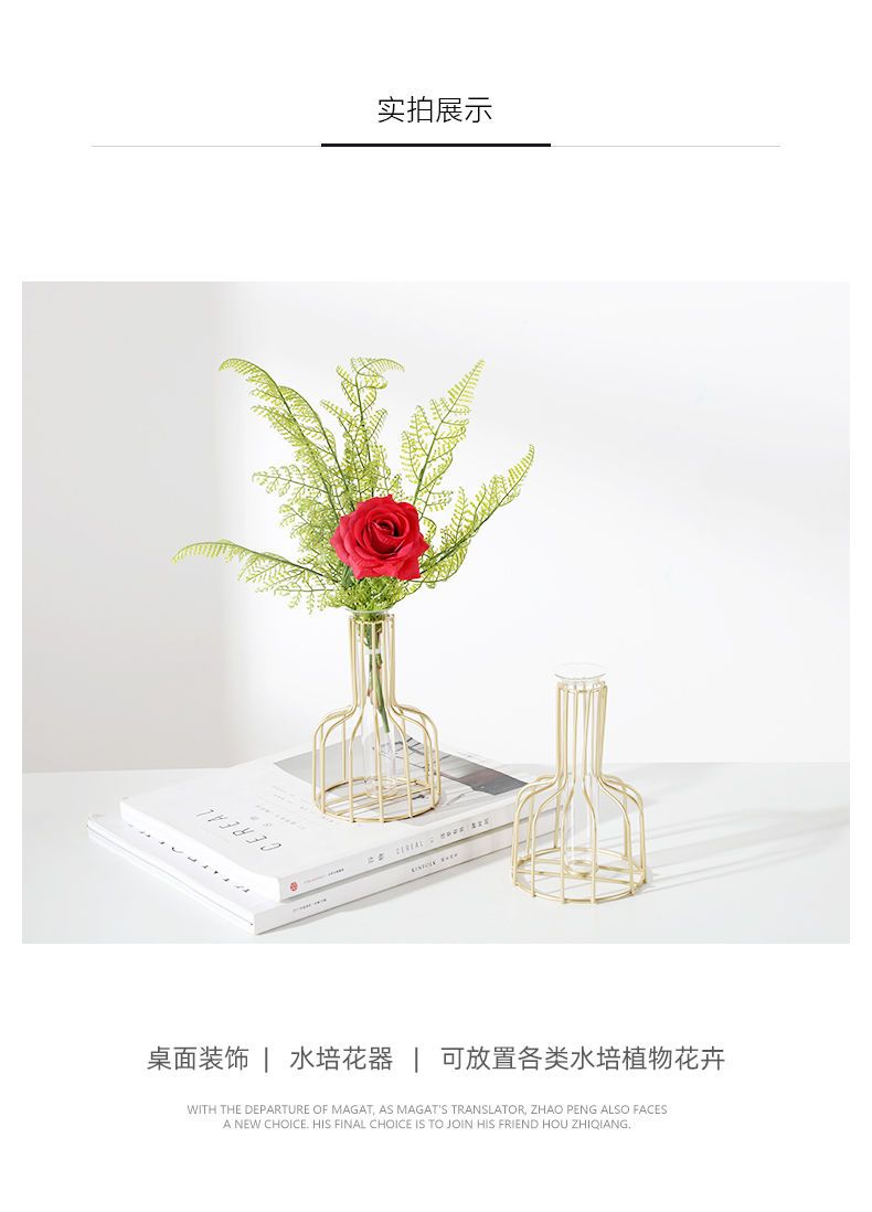 ins风北欧试管透明玻璃花瓶摆件创意客厅干花插花花器桌面装饰品