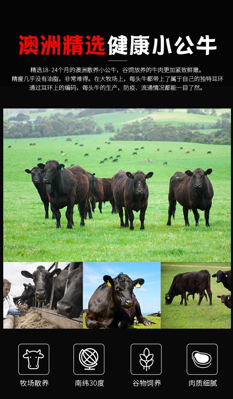 【牛排】茜茜大王黑椒牛排套餐澳洲整切牛排肉儿童牛排套餐100g*10片【大牛美食】