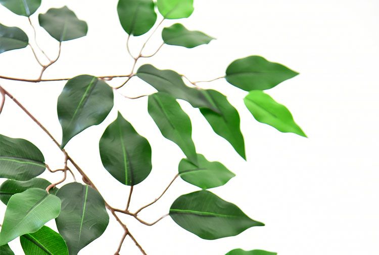 防火叶子阻燃绿植仿真榕树枝银杏红枫叶假花装饰绿叶树叶塑料植物