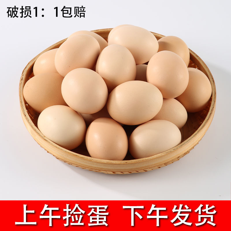 37841-【破损包赔】新鲜散养土鸡蛋正宗草鸡蛋笨鸡蛋柴鸡蛋整箱农村农家-详情图