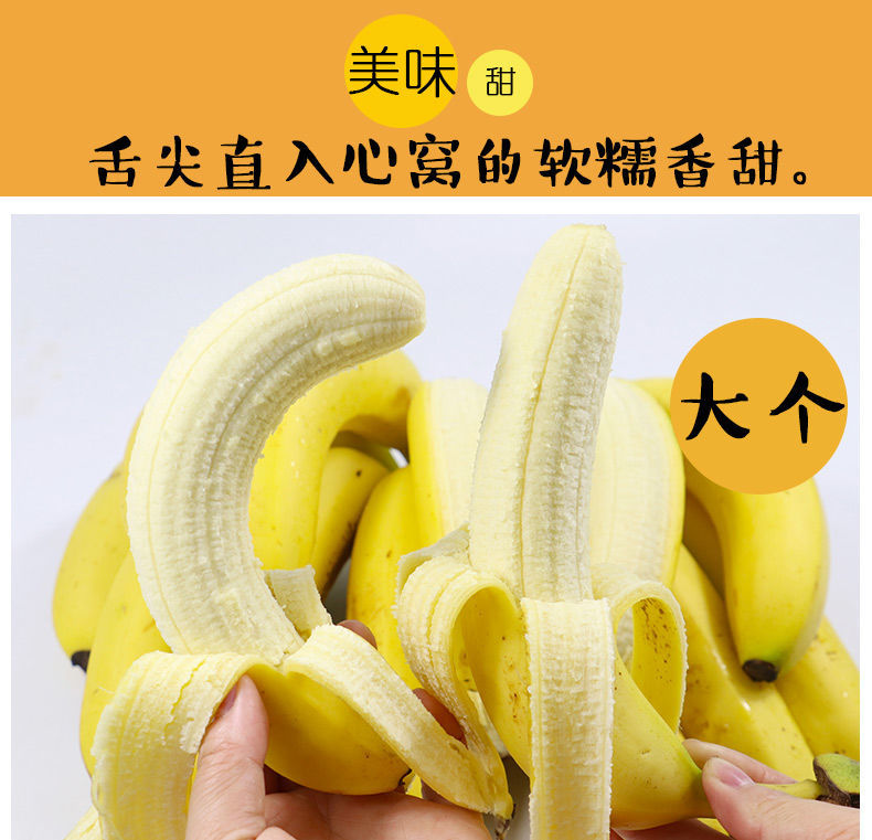 云南香蕉整箱当季水果新鲜批发10斤/6斤自然熟大香蕉非小米蕉