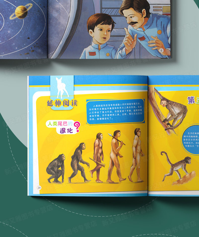 全套10册奇妙的科学彩图注音版3-6岁儿童绘本故事科普书籍课外书