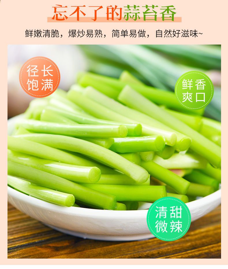 2020年新蒜苔蒜薹蒜苗蒜毫蒜台河南山东新鲜蔬菜批发1/3/5斤