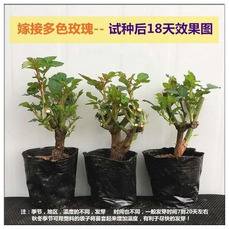 88735d40-d075-4ae8-9fc5-fa8d1bb5abe3.jpeg