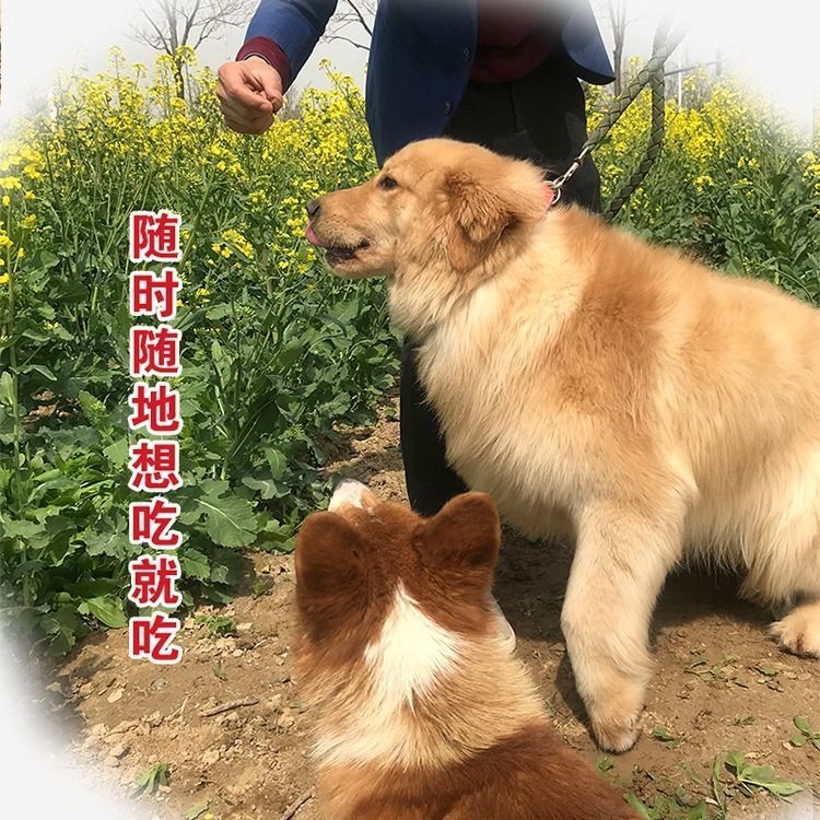 商品缩略图 5