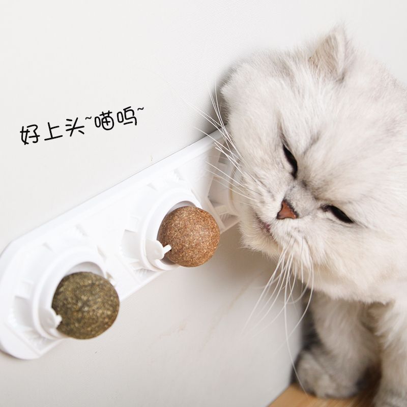 猫咪磨牙棒棒糖旋转薄荷球猫糖上瘾猫薄荷猫草洁齿零食猫咪用品