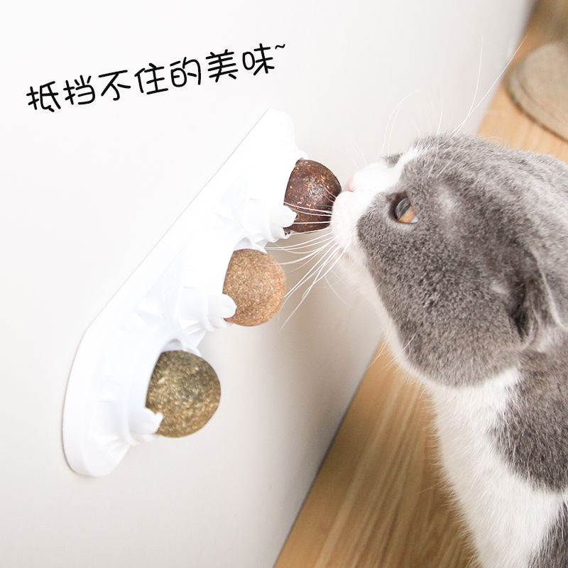 猫咪磨牙棒棒糖旋转薄荷球猫糖上瘾猫薄荷猫草洁齿零食猫咪用品