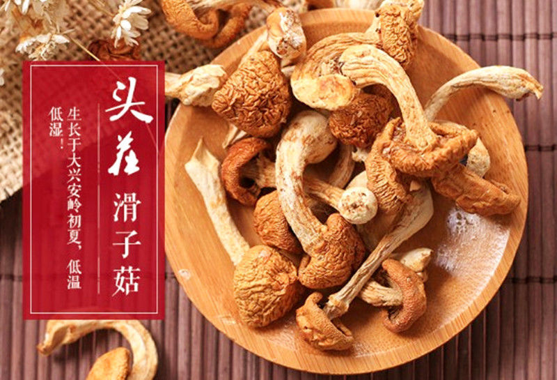 2021年头茬新货滑子菇干货黑龙江省大兴安岭特产滑子蘑小黄蘑包邮