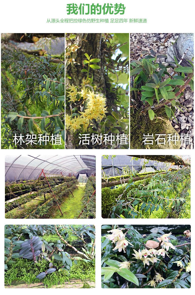 0658caae-f2a1-47dd-8a92-34b8aca5013e.jpeg