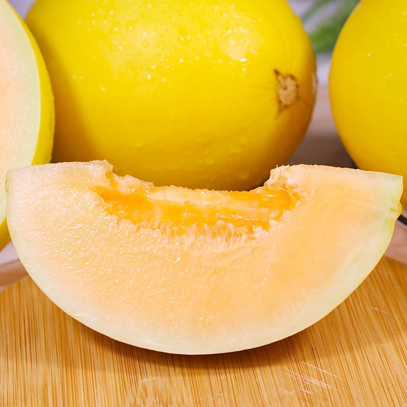 2022头茬蜜瓜民勤黄河蜜瓜金红宝沙漠蜜瓜甜瓜香瓜应季新鲜水果