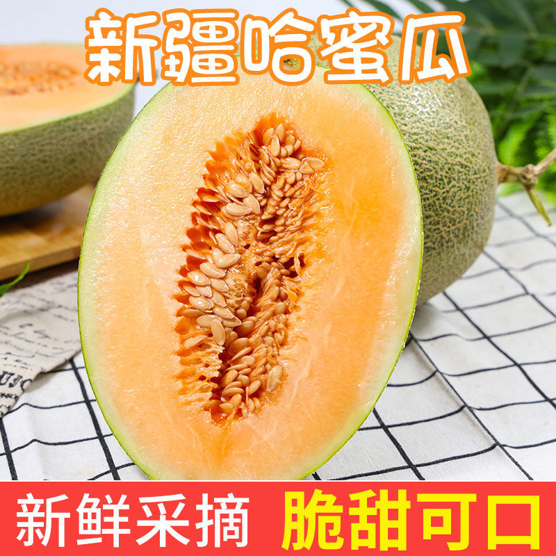 88709-新疆哈密瓜整箱吐鲁番甜瓜新鲜水果西州蜜应季水果整箱网纹瓜蜜瓜-详情图