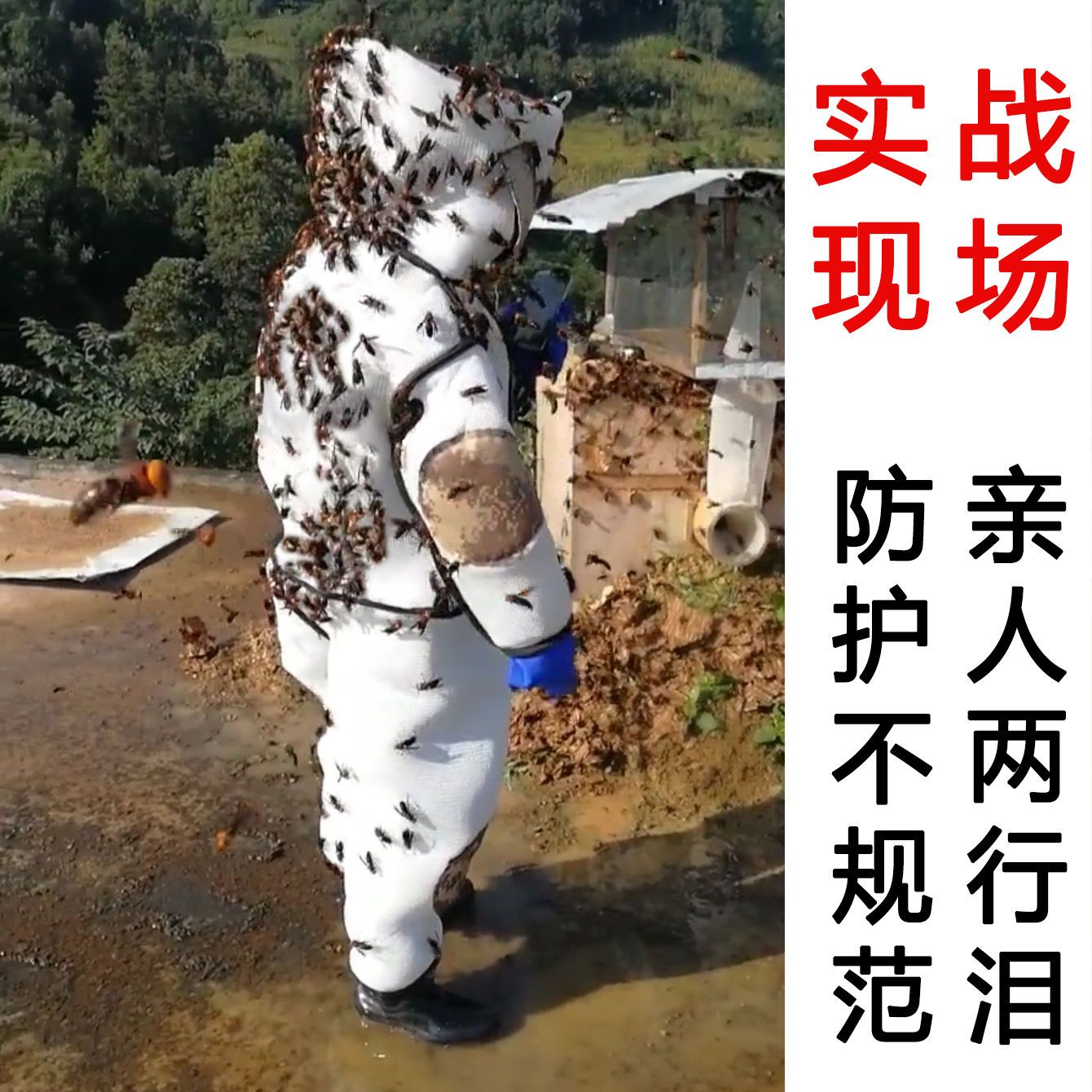 馬蜂服透氣連體防蜂衣帶風扇全套抓虎頭蜂專用加厚防護服捉胡蜂衣