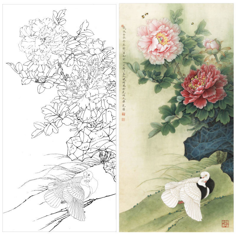 工笔画底稿李晓明白描底稿初学者临摹国画富贵天香工笔画线稿kd39