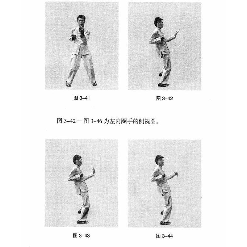 咏春拳黄涛格斗教程拳谱叶问永春拳桩法实战近身擒拿防身术书籍