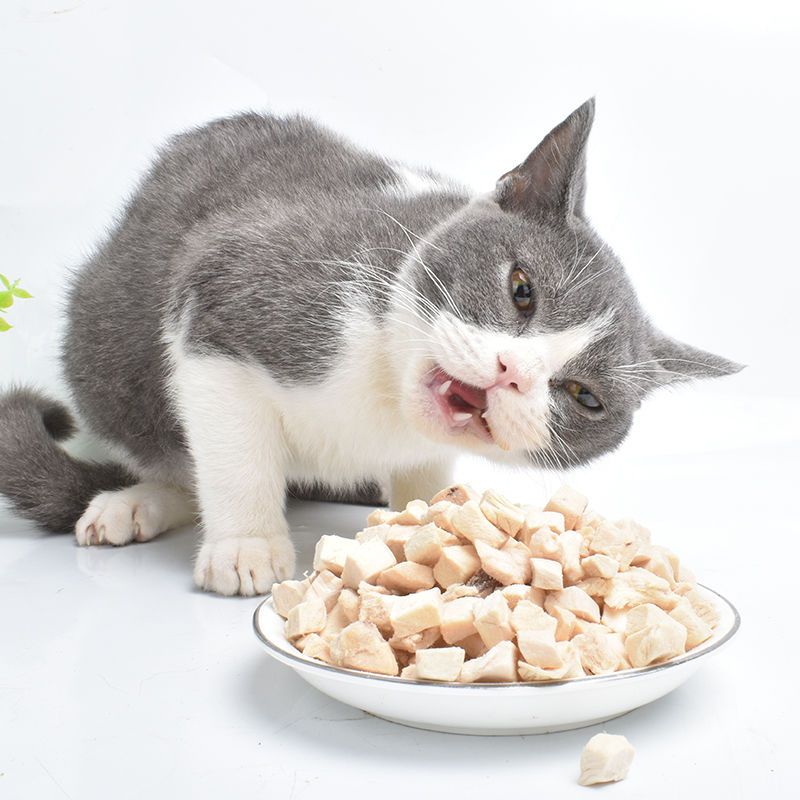 猫咪零食营养免疫力增肥发腮补钙宠物冻干鸡肉粒零食大礼包鸡胸肉