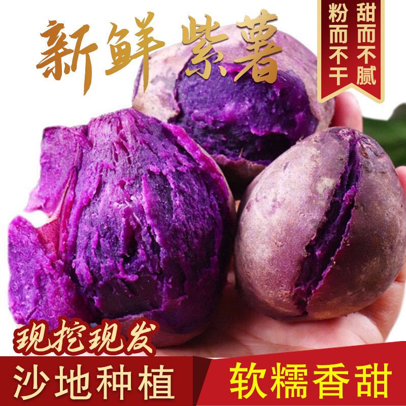 沂蒙山新鲜紫薯现挖紫地瓜农家自种紫心地瓜紫薯番薯新鲜红薯