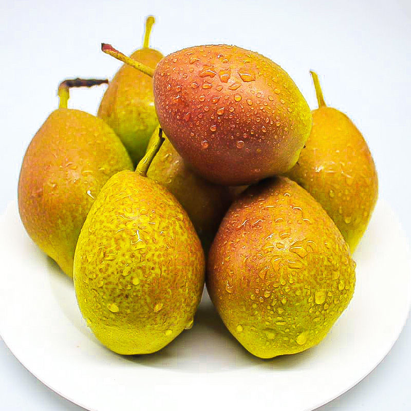 红香酥梨梨子水果新鲜批发香梨当季应季3/5/10斤薄皮整箱非库尔勒